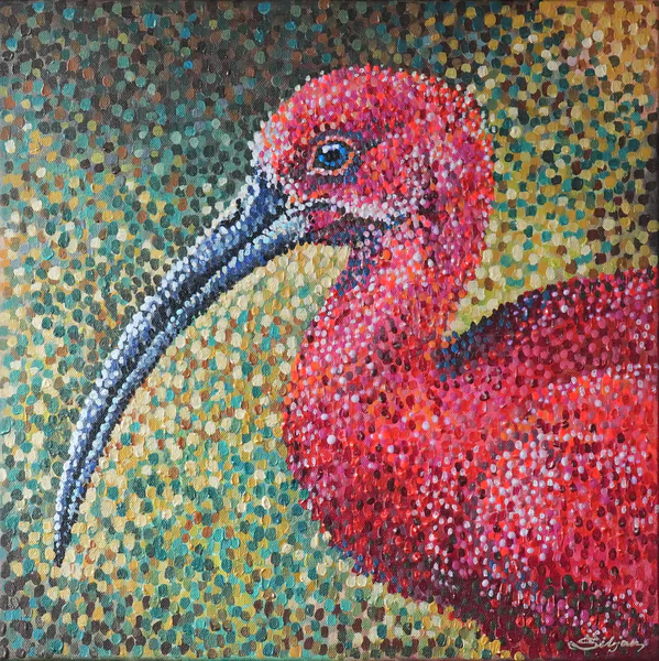 Ibis