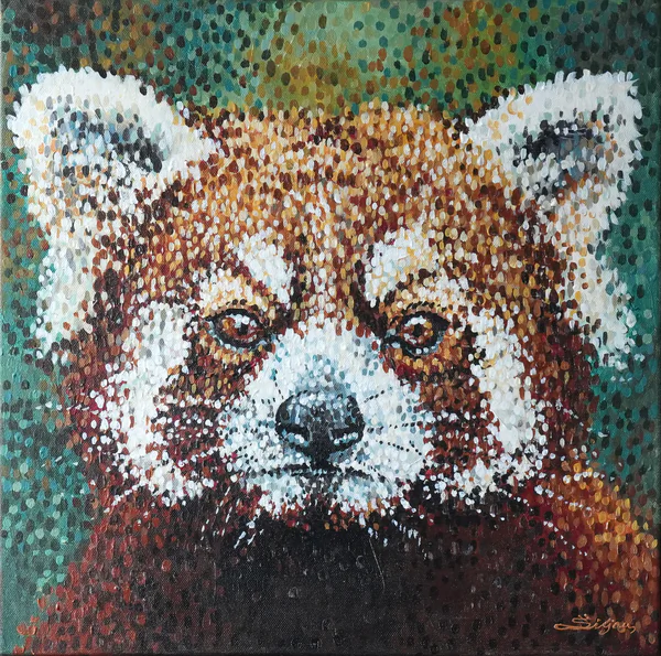 Red Panda